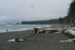 PICTURES/Rialto Beach/t_Beach1.JPG